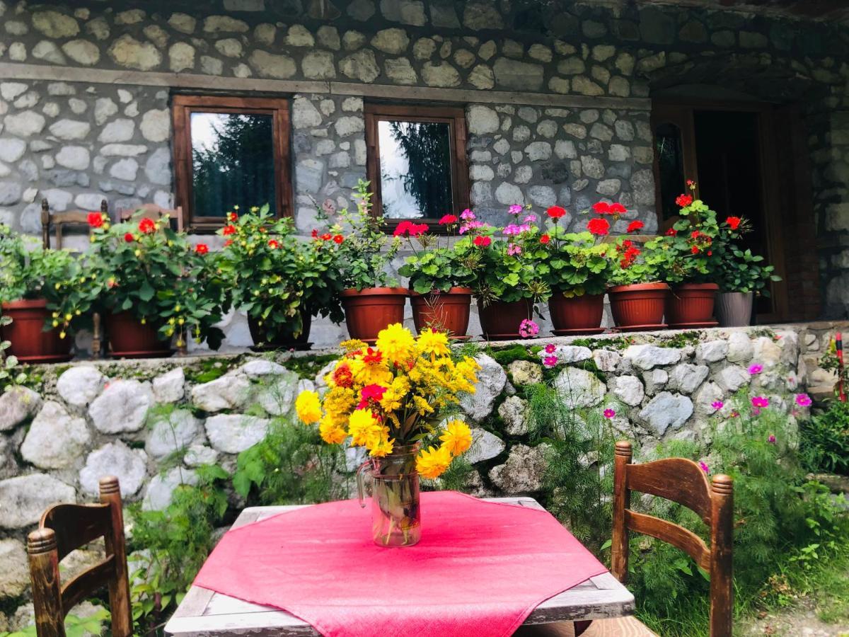 ולבונה Guest House Hyrmet Demushi מראה חיצוני תמונה